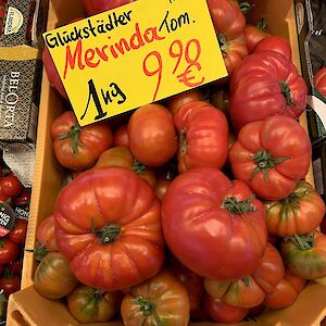 Merinda-Tomaten