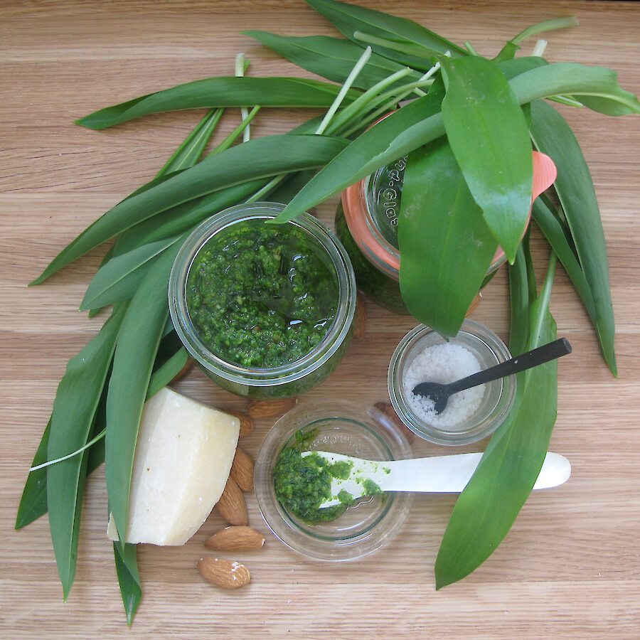 brlauch-pesto-aus-dem-thermomix
