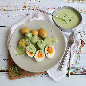 original-frankfurter-grne-soe-aus-dem-thermomix