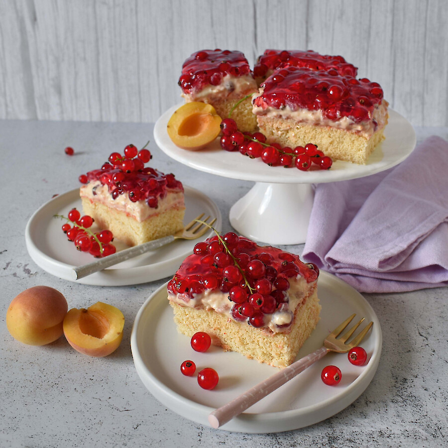 johannisbeer-quark-schnitten-aus-dem-thermomix